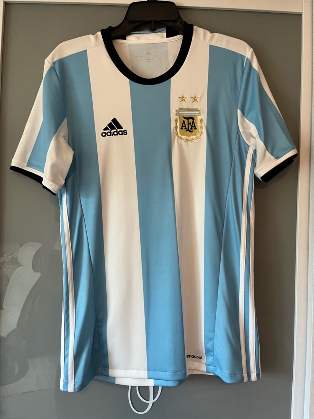 Adidas Light Blue & White Lionel Messi #10 AFA Crest Soccer Jersey